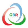 GBR MECHELECTRONIC