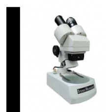 Dissecting Microscope