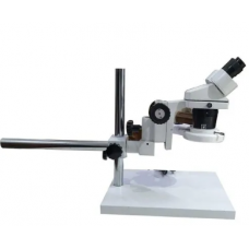 Inclined Stereoscopic Microscope