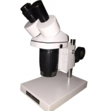 Inclined Stereoscopic Microscope
