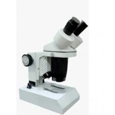 Inclined Stereoscopic Microscope