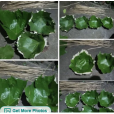 Natural Green Leaf Bowl