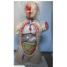 Medical Waste Shredder