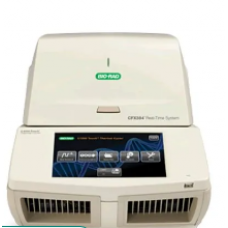 Real Time Pcr Machine