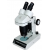 Stereo Microscope