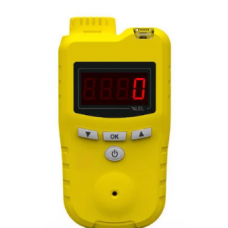 Gas Leak Detector