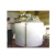 Milk Pasteurizer