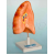 Human Lungs Model