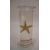 Star Fish Glass Specimen Jar