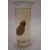 Shepia Glass Specimen Jar