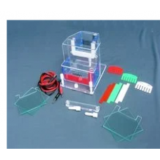 Vertical Electrophoresis Apparatus