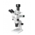 Fluorescence Stereo Microscope Product Details: