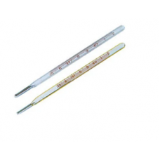 Thermometer Oral