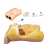 Maternity Examination Model