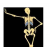 Human Skeleton