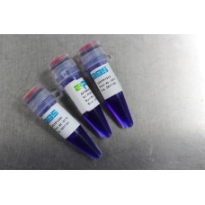 PCR Kits