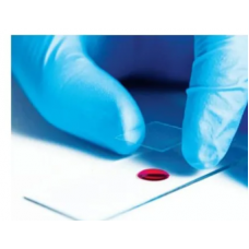 Genius Gold Microscopic Glass Slide