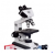 Binocular Coaxial Microscope