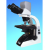 Labomed Microscope