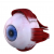 Biological Eyes Model