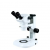 Stereo Zoom Microscope