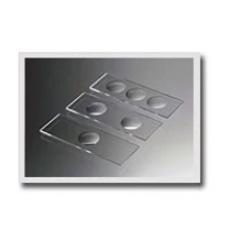 MICROSCOPIC CONCAVITY SLIDES