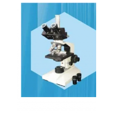 Trinocular Microscope
