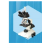 Trinocular Microscope