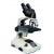 Binocular Microscope