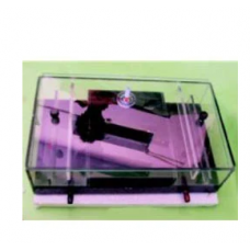 Horizontal Paper Electrophoresis