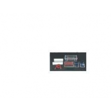 Mini Electrophoresis System