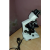 Binocular Microscope