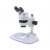 Stereo Microscope