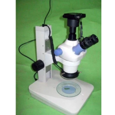 Stereo Microscope