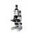 Student Polarizing Microscope