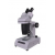Research Inclined Stereoscopic Microscope