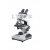 Binocular Microscope