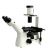 Inverted Microscopes