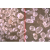 30-40 Mesh Proppant Sand