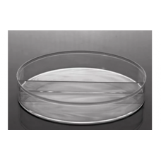 Glass Petri Dish