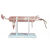 Sub Boiling Still Assemblies