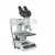 Trinocular Metallurgical Microscope