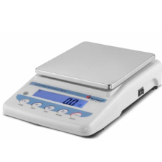 Precision Weighting Balance