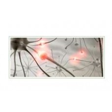 Chemicals And Reagents