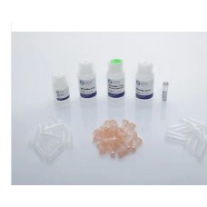 Viral RNA Purification Kit