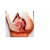 Human Female Reproductive System