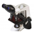 LED Binocular Trinocular Microscope