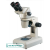 Stereo Microscope