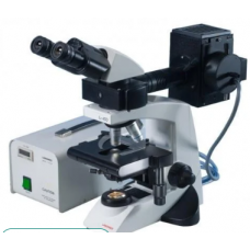 Fluorescence Microscope
