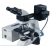 Fluorescence Microscope